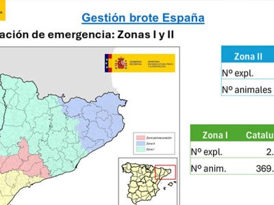 Autorizada por la Comisión Europea la ampliación del plan de vacunación de emergencia contra la dermatosis nodular contagiosa a nuevas comarcas de Cataluña y Aragón