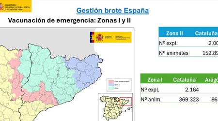 Autorizada por la Comisión Europea la ampliación del plan de vacunación de emergencia contra la dermatosis nodular contagiosa a nuevas comarcas de Cataluña y Aragón