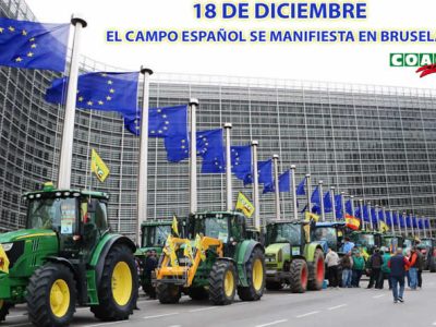 COAG alerta: los recortes en la PAC dispararían el precio de los alimentos entre un 6,5% y un 9,3% y encarecerían la cesta de la compra entre 350 y 500 euros por hogar