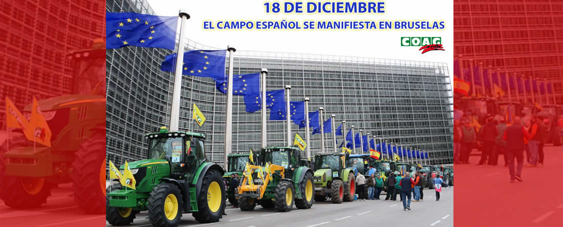 COAG alerta: los recortes en la PAC dispararían el precio de los alimentos entre un 6,5% y un 9,3% y encarecerían la cesta de la compra entre 350 y 500 euros por hogar