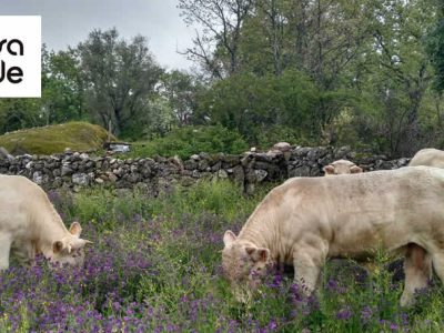 DEHESA GRANDE galardonada con el Premio Innovación en los XII Premios del Campo de El Norte de Castilla