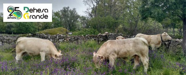 DEHESA GRANDE galardonada con el Premio Innovación en los XII Premios del Campo de El Norte de Castilla