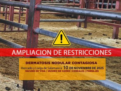 Análisis de la lonja y mercado de ganado vacuno de Salamanca 10 de noviembre de 2025