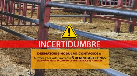 Análisis de la lonja y mercado de ganado de Salamanca 3 de noviembre de 2025