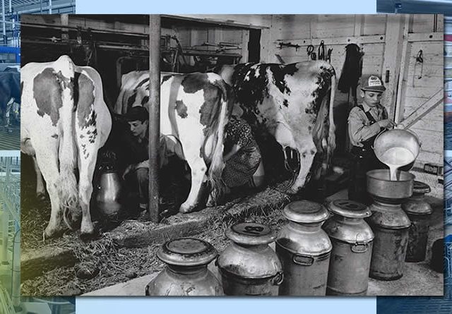 Batch Milking vs. Robot o Sala. Ventajas, consideraciones y perspectivas de los sistemas