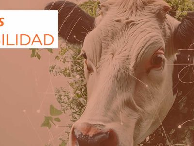 Zoetis presenta los avances de su estrategia de sostenibilidad en 2024