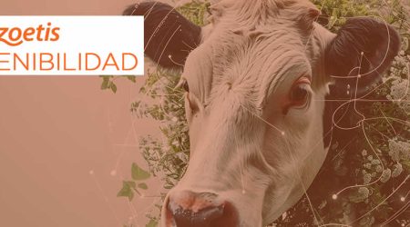 Zoetis presenta los avances de su estrategia de sostenibilidad en 2024