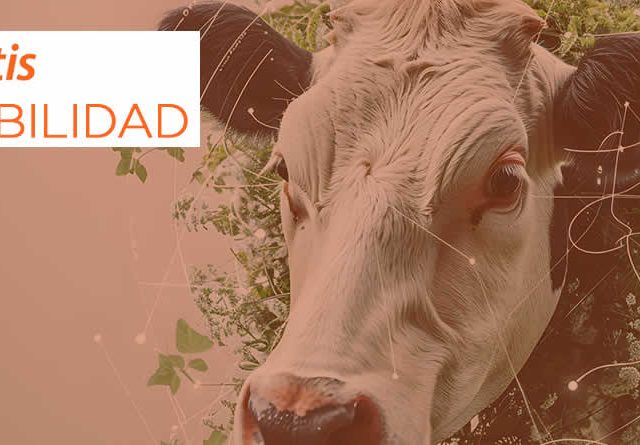 Zoetis presenta los avances de su estrategia de sostenibilidad en 2024