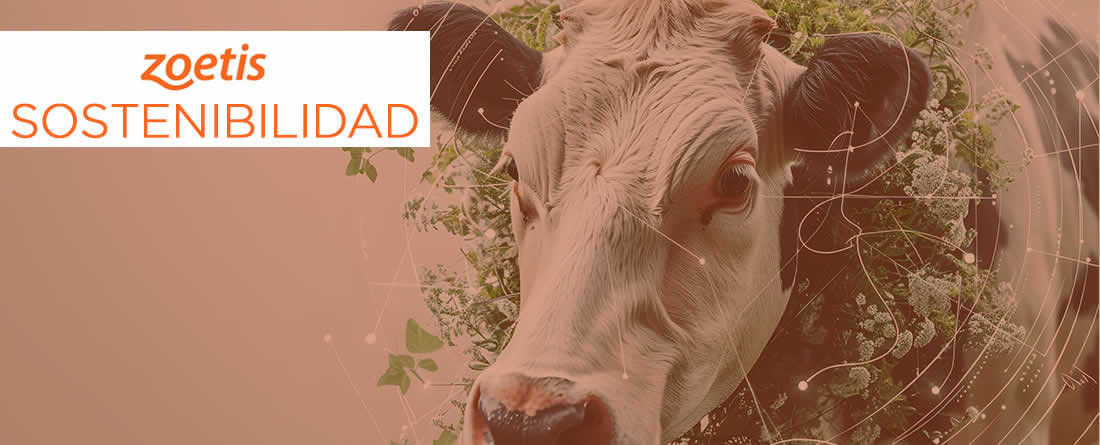 Zoetis presenta los avances de su estrategia de sostenibilidad en 2024