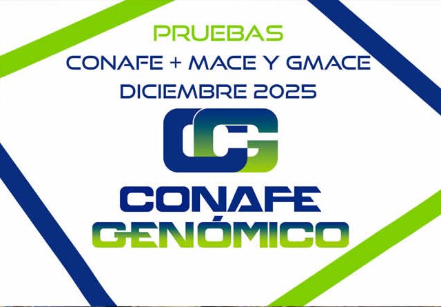 Nuevas pruebas genéticas CONAFE de vacuno de raza frisona + MACE y GMACE de diciembre 2025