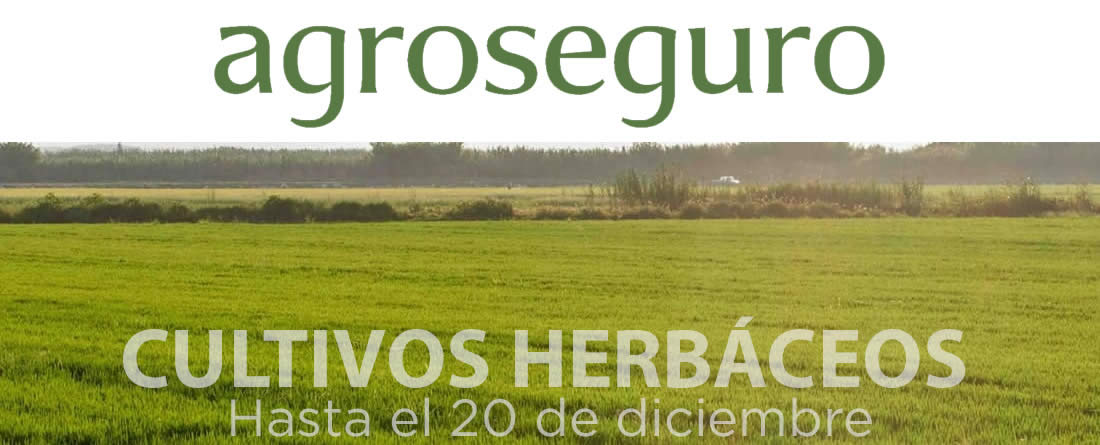 Agroseguro El 20 de diciembre termina el plazo para asegurar la campaña 2026 de cultivos herbáceos y viñedo con los módulos de mayor cobertura