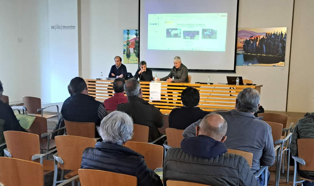 La dermatosis nodular contagiosa llega al centro del debate ganadero en ávila