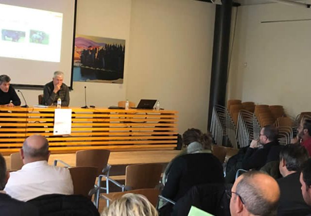 La dermatosis nodular contagiosa llega al centro del debate ganadero en ávila