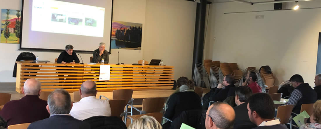 La dermatosis nodular contagiosa llega al centro del debate ganadero en ávila