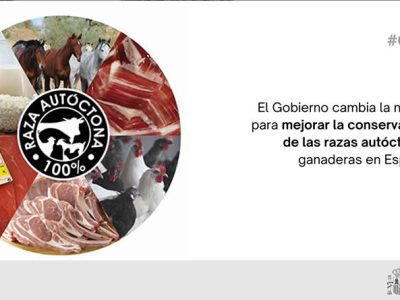 Cambio en la norma para mejorar la conservación de las razas autóctonas ganaderas en España