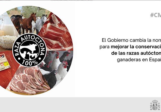 Cambio en la norma para mejorar la conservación de las razas autóctonas ganaderas en España
