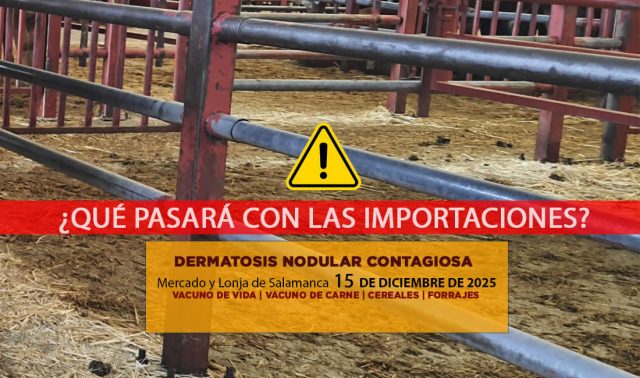 Análisis de la lonja y mercado de ganado vacuno de Salamanca 15 de diciembre de 2025