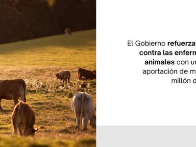 El Gobierno refuerza la lucha contra las enfermedades animales con una nueva aportación de más de un millón de euros