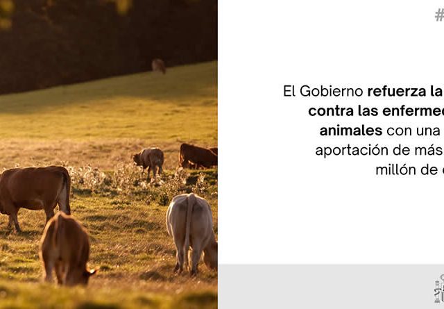 El Gobierno refuerza la lucha contra las enfermedades animales con una nueva aportación de más de un millón de euros