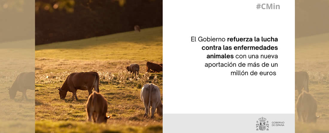 El Gobierno refuerza la lucha contra las enfermedades animales con una nueva aportación de más de un millón de euros
