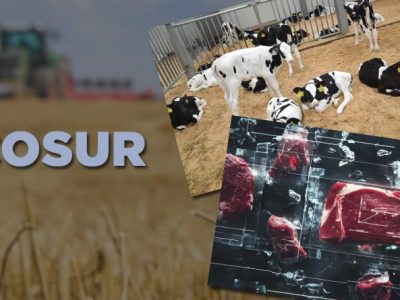 ASAJA exige al gobierno de España una posición firme contra mercosur y reclama garantías reales para la agricultura en el marco financiero 2028-2032