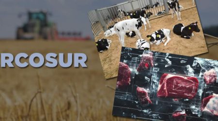 ASAJA exige al gobierno de España una posición firme contra mercosur y reclama garantías reales para la agricultura en el marco financiero 2028-2032