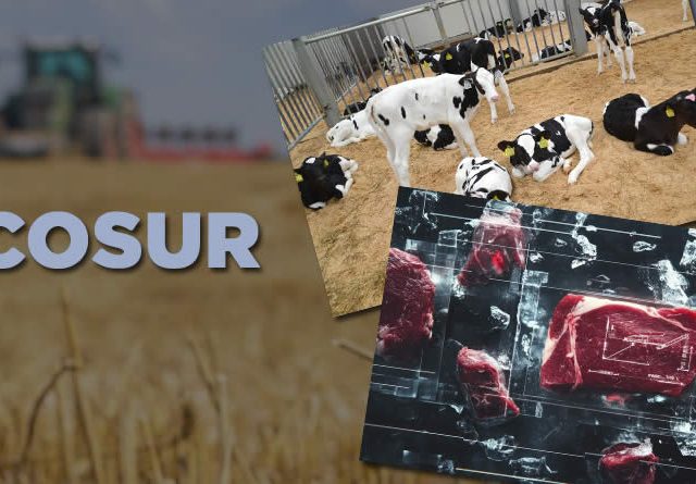 ASAJA exige al gobierno de España una posición firme contra mercosur y reclama garantías reales para la agricultura en el marco financiero 2028-2032