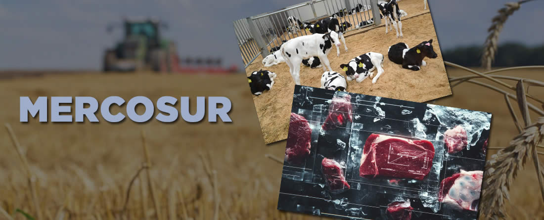 ASAJA exige al gobierno de España una posición firme contra mercosur y reclama garantías reales para la agricultura en el marco financiero 2028-2032