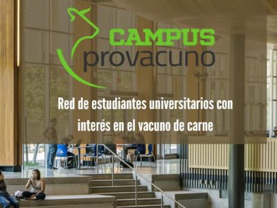 La importancia de la ganadería en el vacuno de carne para la salud, a debate en una nueva jornada del Campus Provacuno