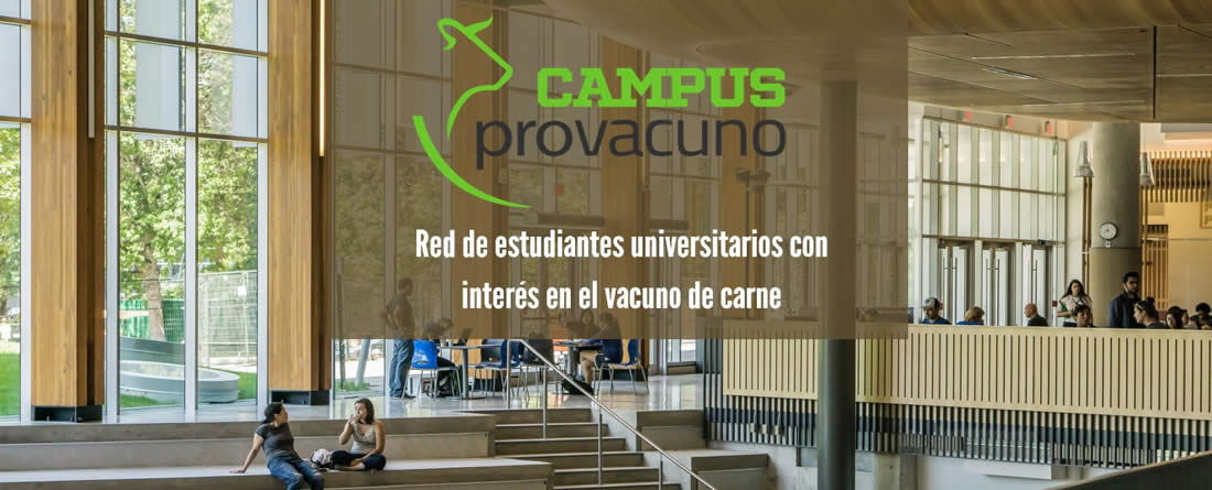 La importancia de la ganadería en el vacuno de carne para la salud, a debate en una nueva jornada del Campus Provacuno