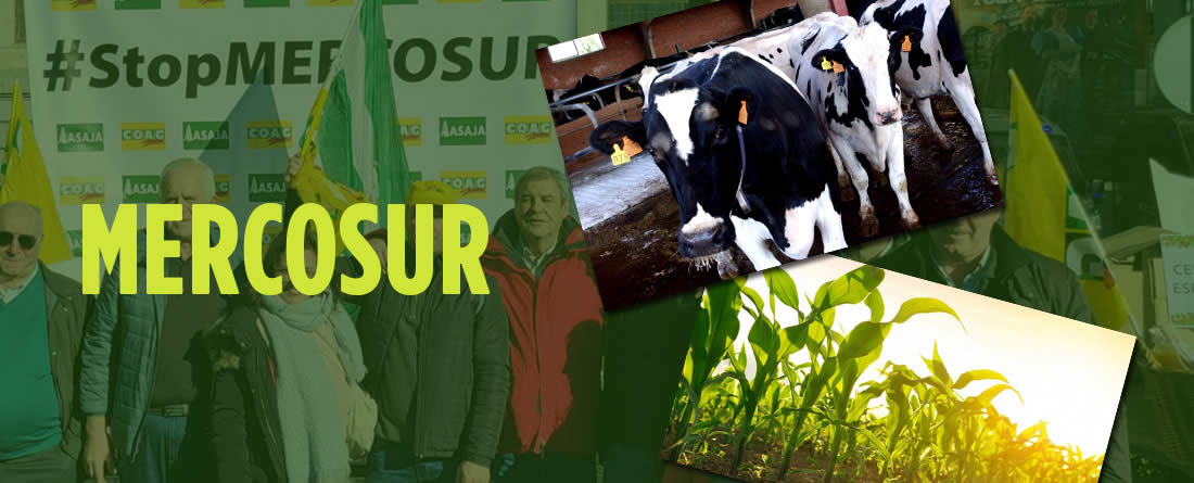 COAG exige transparencia sobre el origen de los 45.000 millones anunciados por Von der Leyen y rechaza su uso para justificar el acuerdo con Mercosur