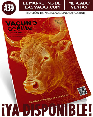 Carne#39_YADISPONIBLE