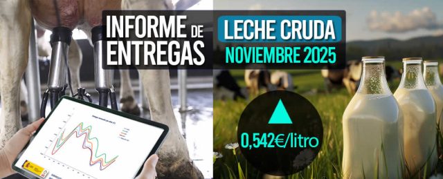 El precio medio de la leche cruda de noviembre de 2025 sube a 0,542€/litro