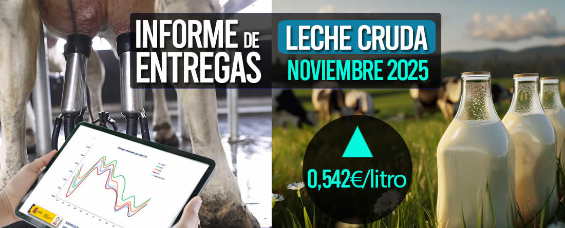 El precio medio de la leche cruda de noviembre de 2025 sube a 0,542€/litro