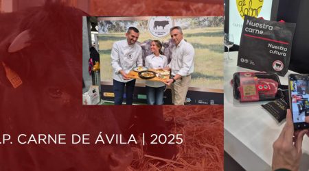 La IGP Carne de Ávila cierra 2025 con un balance positivo pese a la reducción de censos ganaderos.
