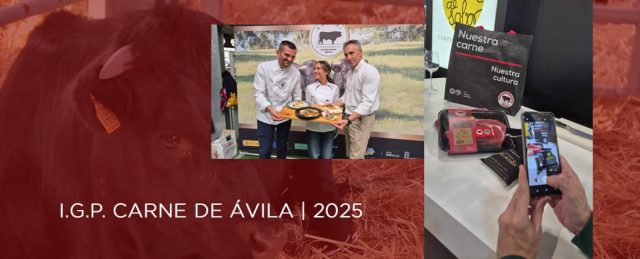 La IGP Carne de Ávila cierra 2025 con un balance positivo pese a la reducción de censos ganaderos.