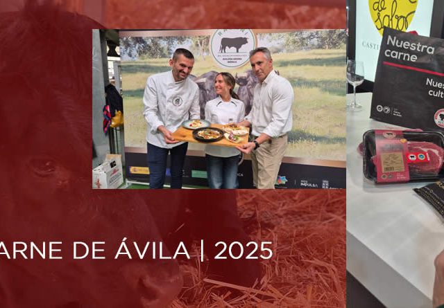 La IGP Carne de Ávila cierra 2025 con un balance positivo pese a la reducción de censos ganaderos.