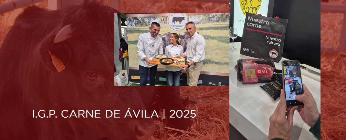 La IGP Carne de Ávila cierra 2025 con un balance positivo pese a la reducción de censos ganaderos.