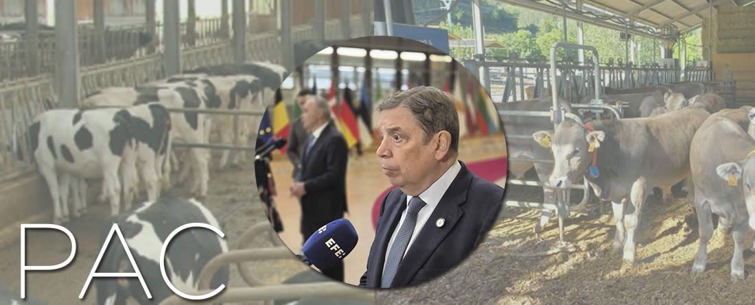 Postura común en defensa de una PAC con presupuesto y fuerza suficientes