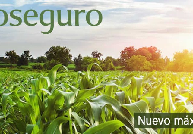 La contratación de seguros agrarios marca un nuevo máximo en 2025