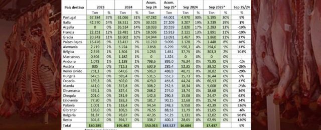 Provacuno publica su informe de comercio exterior para septiembre de 2025