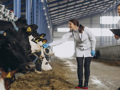 Consulta pública para la simplificación del real decreto sobre medicamentos veterinarios