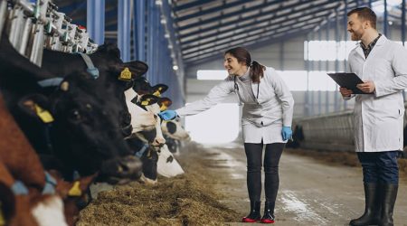 Consulta pública para la simplificación del real decreto sobre medicamentos veterinarios