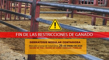 Análisis de la lonja y mercado de ganado de Salamanca 26 de enero de 2026