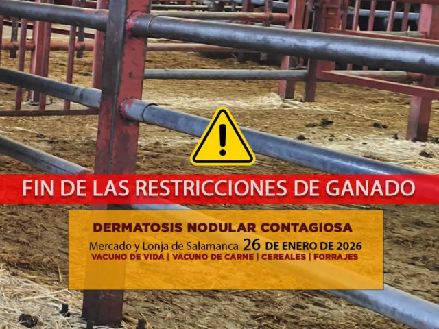 Análisis de la lonja y mercado de ganado de Salamanca 26 de enero de 2026