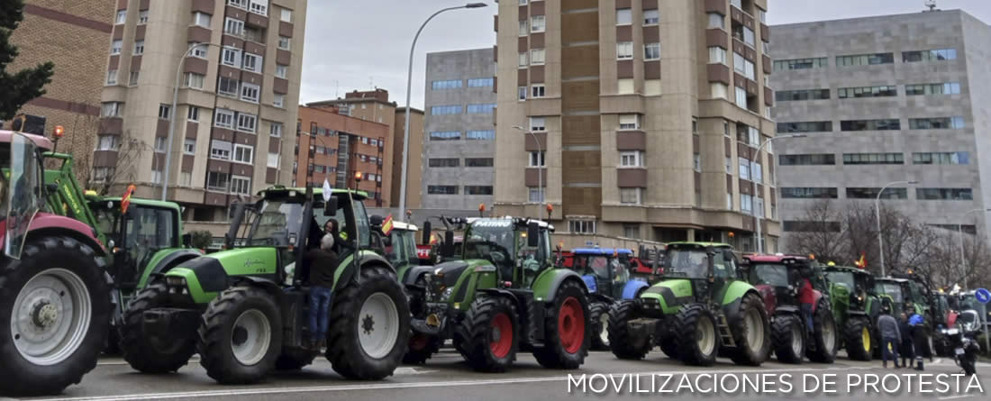 Más de 25.000 agricultores y ganaderos protestan contra Mercosur y los recortes de la PAC