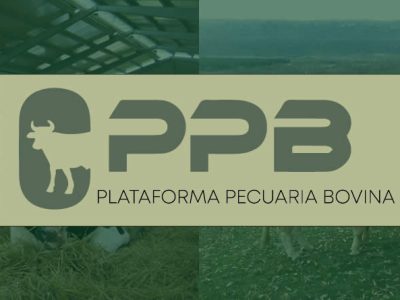 La Plataforma Pecuaria Bovina analiza la situación actual del sector y reclama más información y apoyo institucional