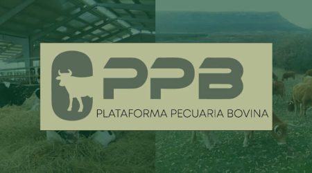 La Plataforma Pecuaria Bovina analiza la situación actual del sector y reclama más información y apoyo institucional