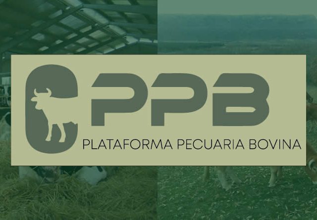 La Plataforma Pecuaria Bovina analiza la situación actual del sector y reclama más información y apoyo institucional