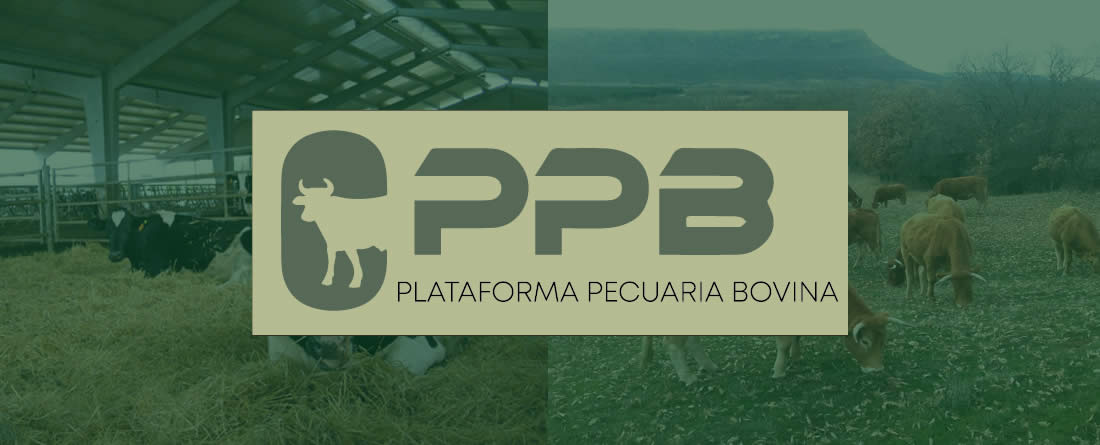 La Plataforma Pecuaria Bovina analiza la situación actual del sector y reclama más información y apoyo institucional